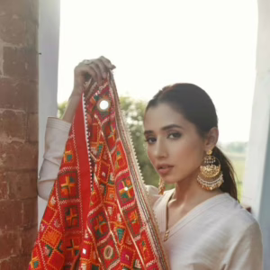 5 Things You Didn’t Know About Phulkari Embroidery