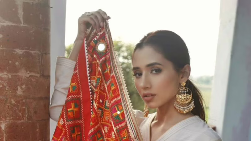 5 Things You Didn’t Know About Phulkari Embroidery